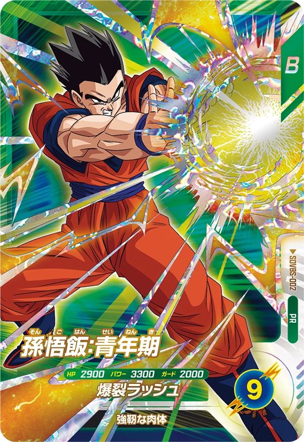 SDVBS-002 Son Gohan: Youth