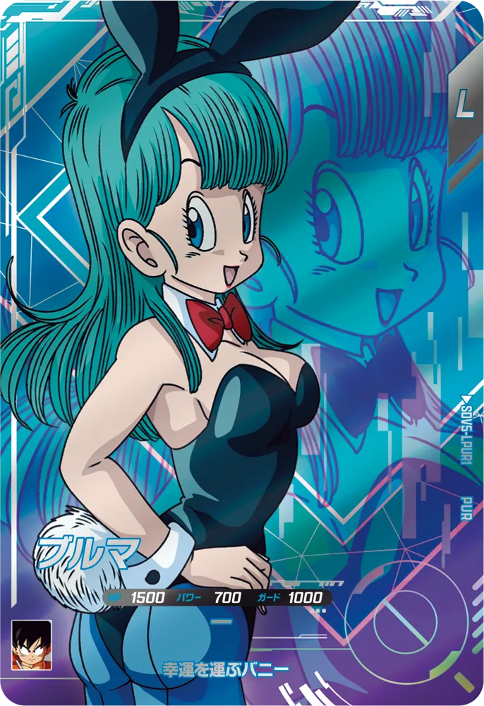 SDV5-LPUR1 Bulma