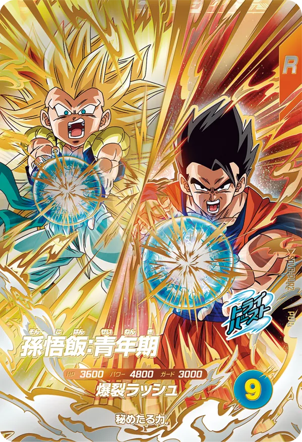 SDV8-PUR2 Son Gohan: Youth