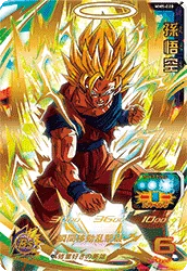 MM5-020 Son Goku