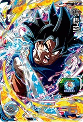 UGM8-SEC4 Son Goku