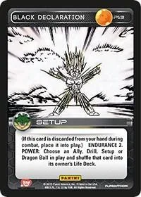 HV-P13 Black Declaration