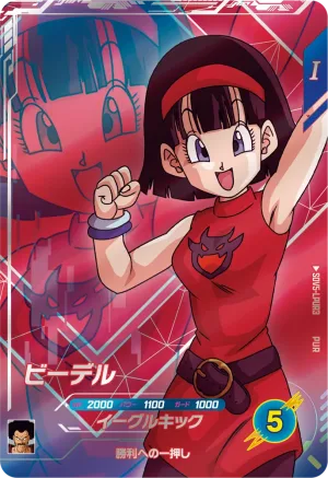 SDV5-LPUR3 Videl