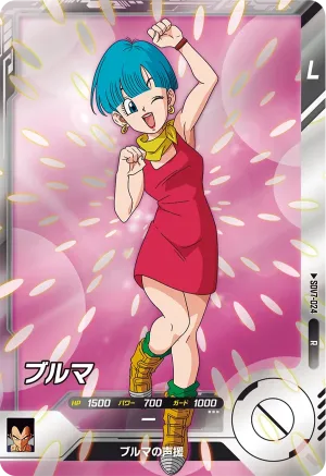 SDV7-024 Bulma
