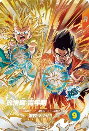 SDV8-PUR2 Son Gohan: Youth