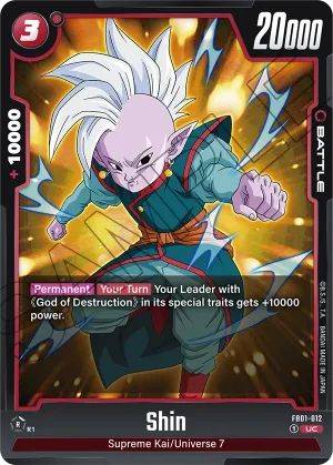 FB01-012 Shin