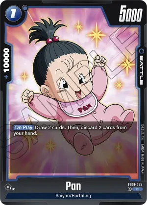 FB01-055 Pan