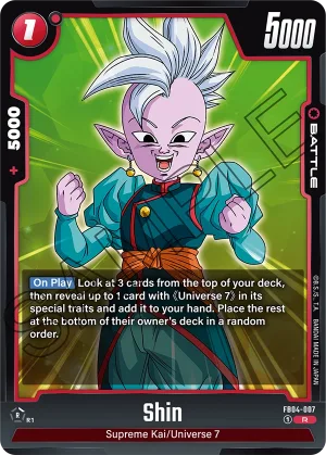 FB04-007 Shin