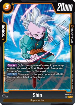 FB04-079 Shin