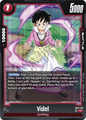 FB08-019 Videl