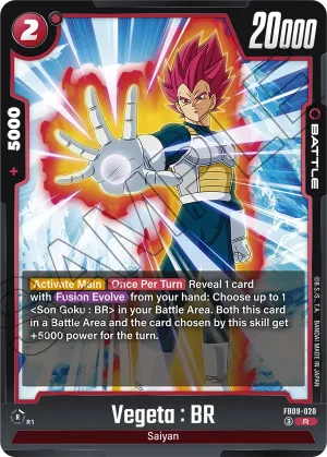 FB09-020 Vegeta : BR