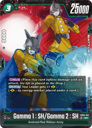 FB09-051 Gamma 1 : SH/Gamma 2 : SH