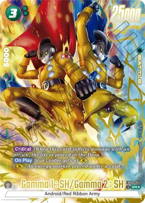 FB09-051 Gamma 1 : SH/Gamma 2 : SH (Alt art)
