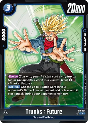FB10-034 Trunks : Future