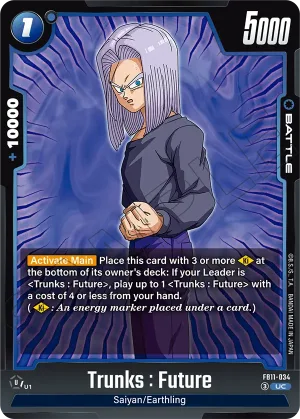 FB11-034 Trunks : Future