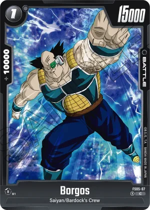 FS05-07 Borgos