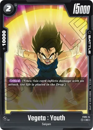 FS05-14 Vegeta : Youth