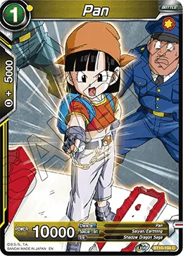 BT10-104 Pan