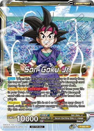 P-290 Son Goku Jr.