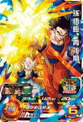BM11-019 Son Gohan: Youth