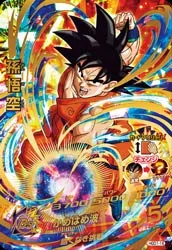 HGD1-16 Son Goku