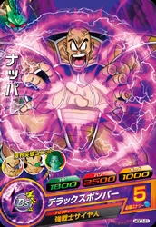 HGD7-21 Nappa