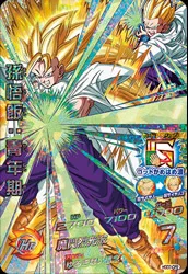 HGD7-CP2 Son Gohan: Youth