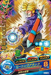 HJ1-04 Trunks: Youth