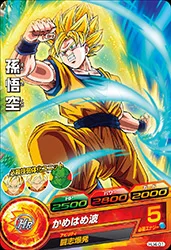 HJ4-01 Son Goku