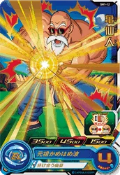 SH1-12 Master Roshi