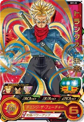 SH1-33 Trunks: Future