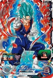 SH1-SEC2 Vegito