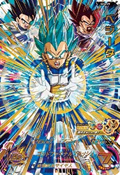 SH4-29 Vegeta